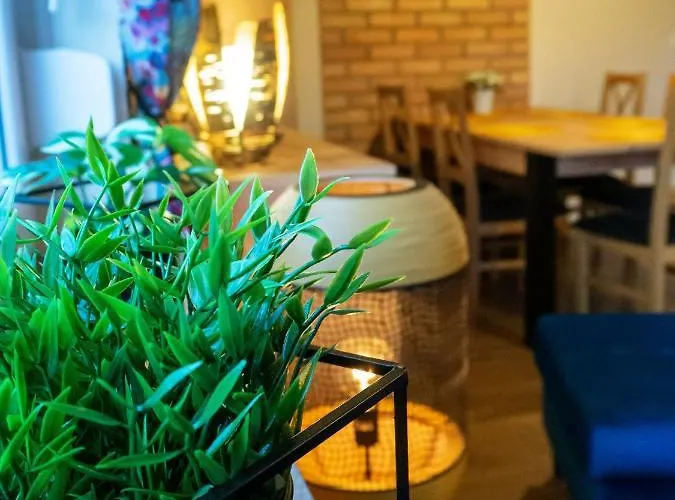 Na Gwizdowce 13 Caloroczny Na Kaszubach *